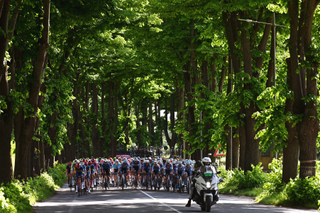Peloton navigates their way through the trees on stage 5 of the Giro d'Italia