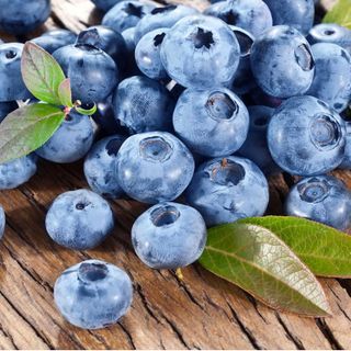 blueberry fruits at harvest