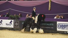 Sue-Helen Shuttleworth and Boston, now with elite status after shock grading
