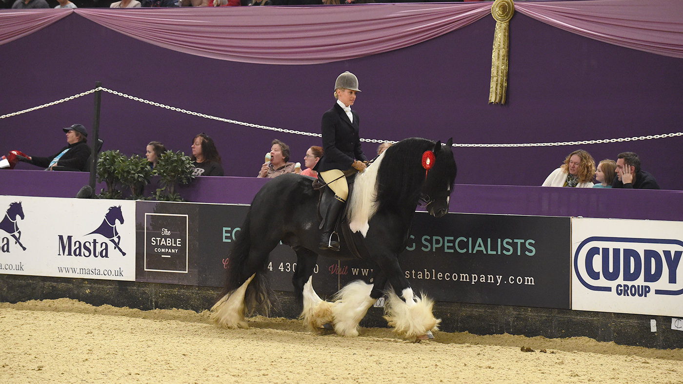 Sue-Helen Shuttleworth and Boston, now with elite status after shock grading