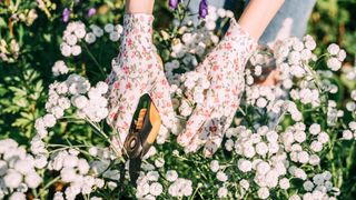 woman pruning floral bush