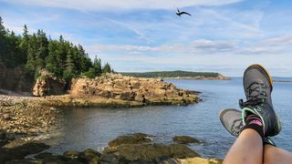Crossed Legs Maine Acadia National Park Rocky Shoreline