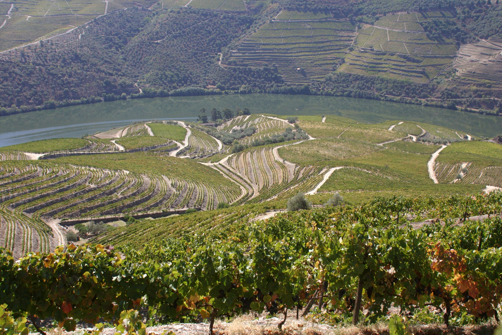 Croft Quinta da Roeda