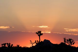 A sunrise in the Mojave Desert of Southern California