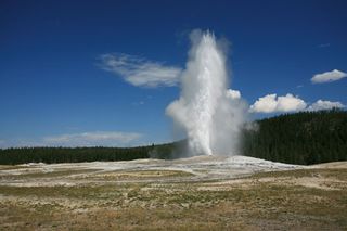 Yellowstone National Park's Old Faithful erupting a column of steam and superhot water.