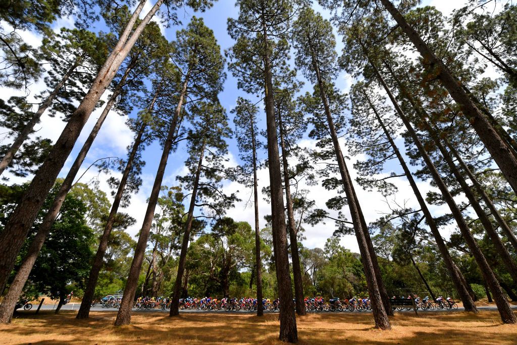 The 2020 Women's Tour Down Under peloton