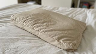 Putnams Organic Buckwhat Hull Pillow on the bed