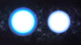 An artist's comparison of white dwarfs of the same mass but different temperatures. The hotter white dwarf on the left has puffed up outer layers, whereas the cooler one on the right is more compact.