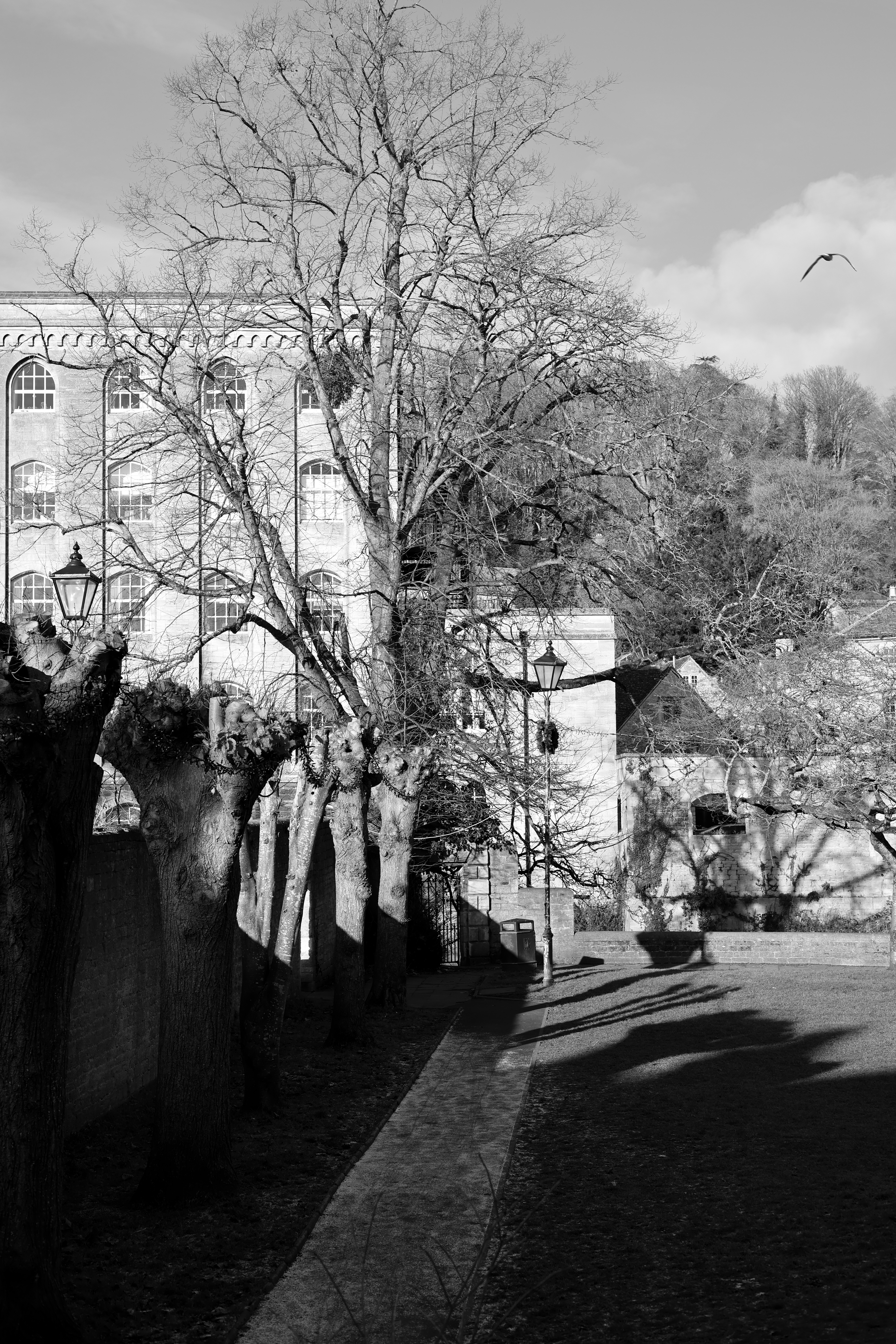 Sample image taken on the Canon EOS C50