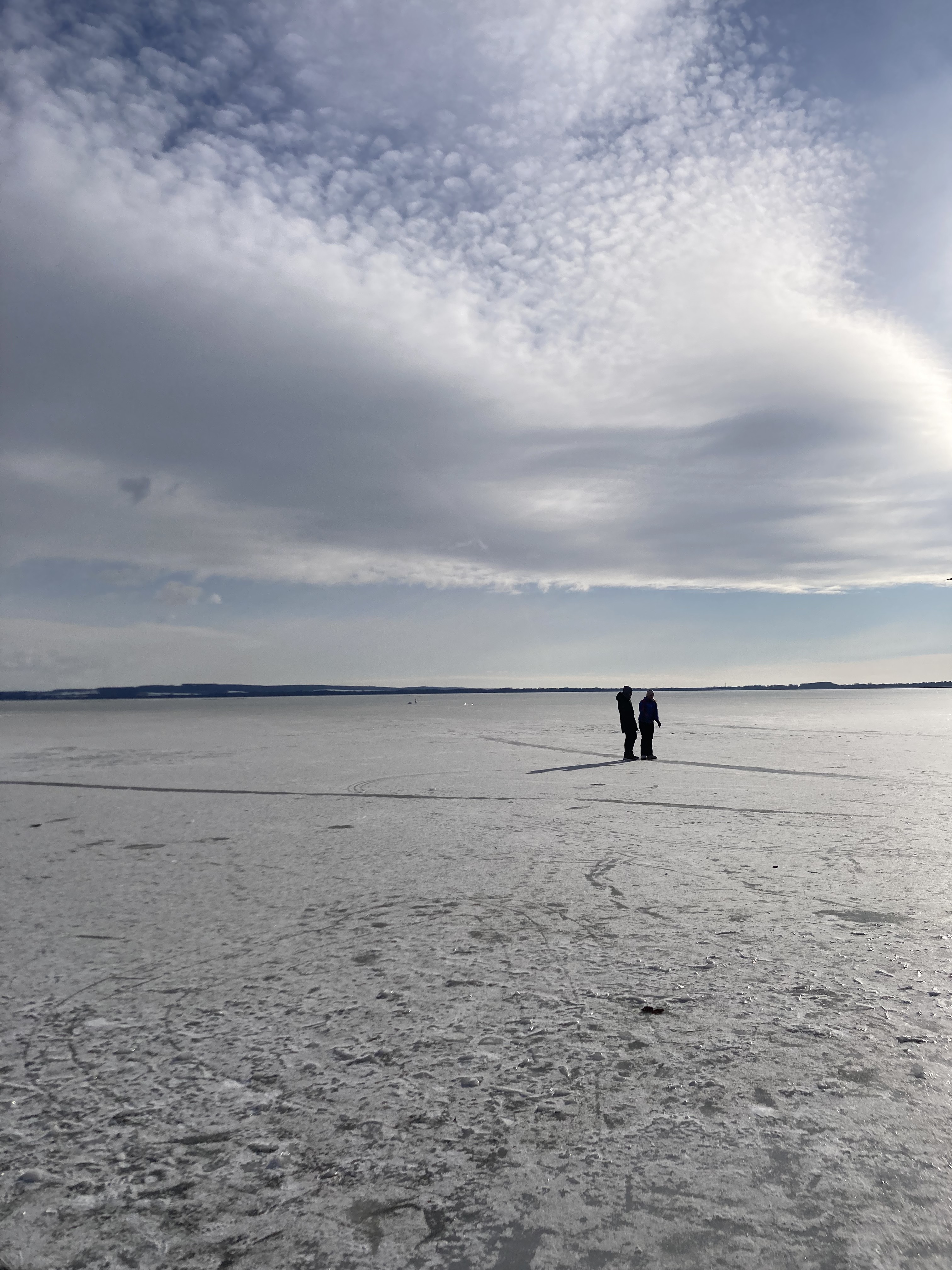 GuruShots - February 2026