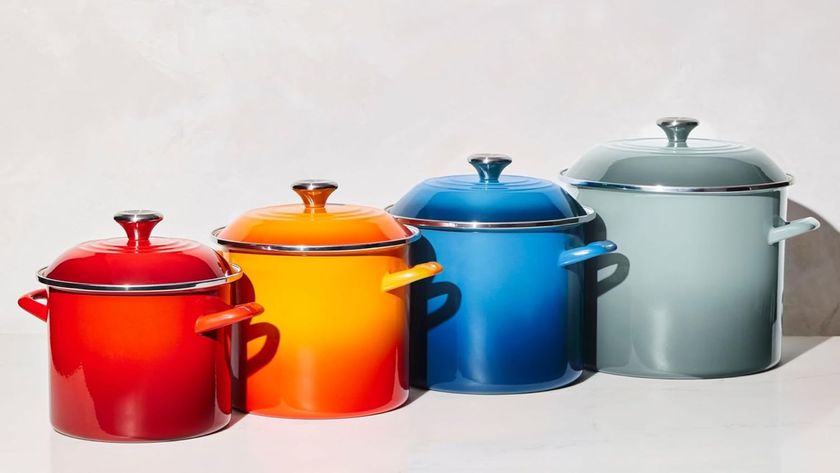 Aldi Le Creuset stockpot dupe