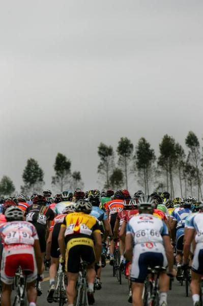 The peloton during stage 4.