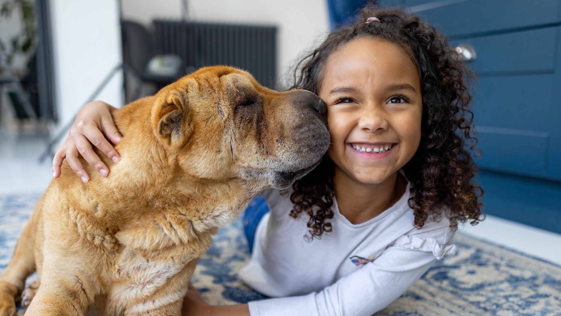 How to help children cope with the death of a pet PetsRadar