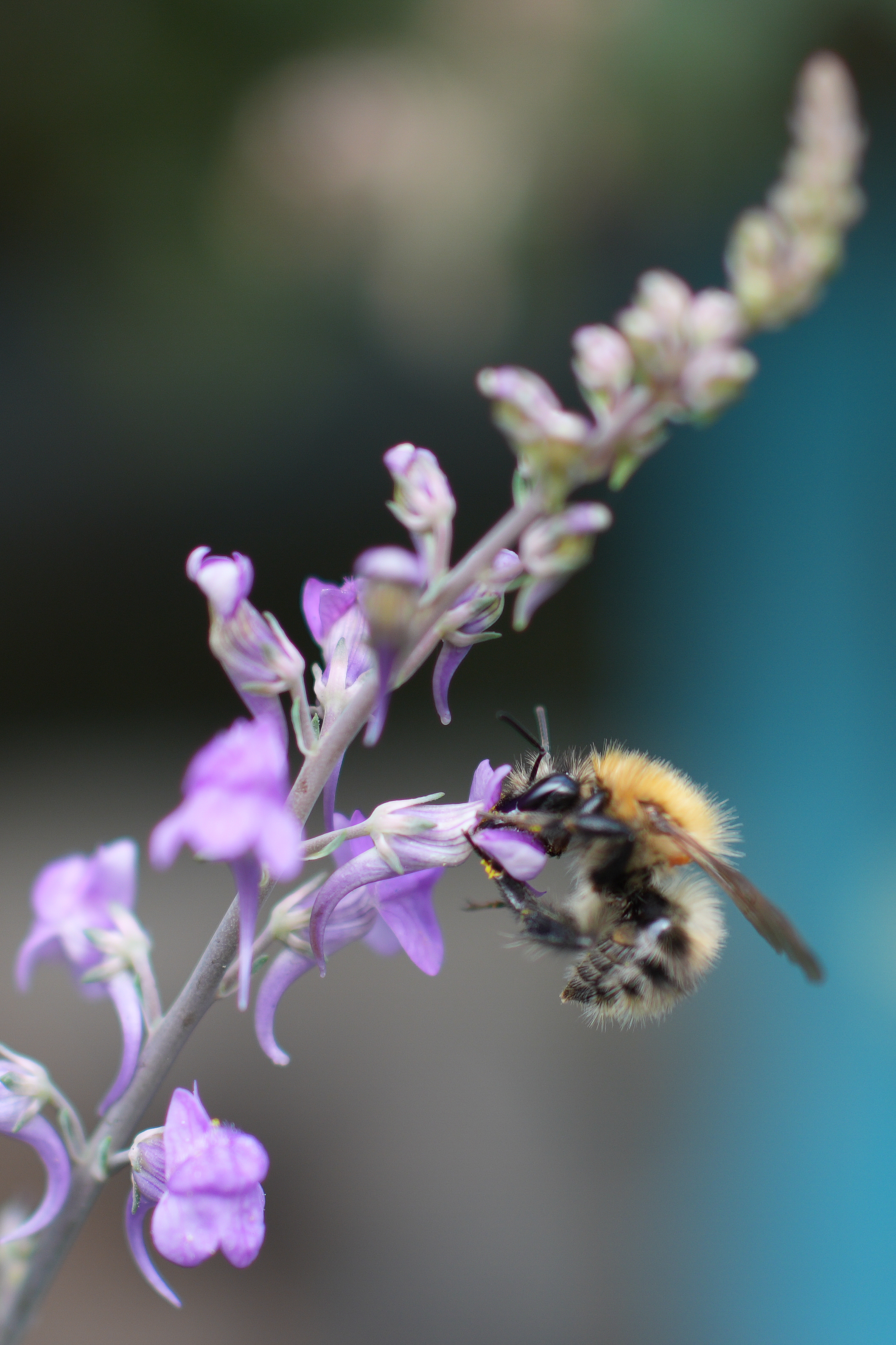 Sample image taken on the Sony RX1R III