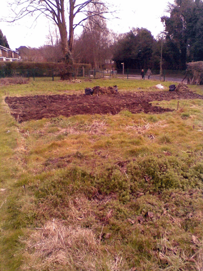 allotment-march