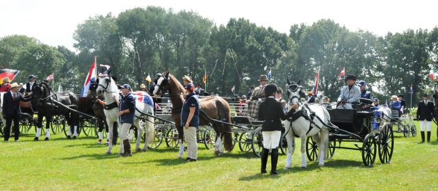 The medal presentations