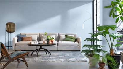 blue living room with grey sofa