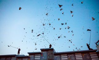 3 people waving flags for the pigeons