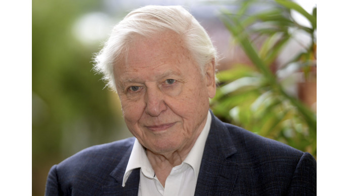 We’re getting a new BBC David Attenborough show and that&#039;s great news isn&#039;t it?