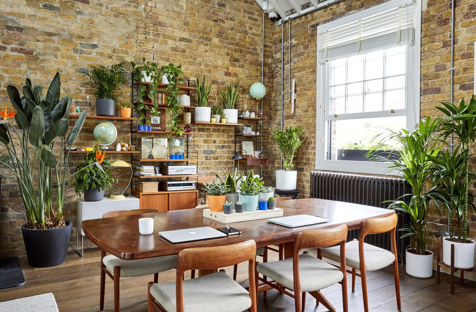 Indoor plant ideas: 25 ways to create stunning house plant displays ...