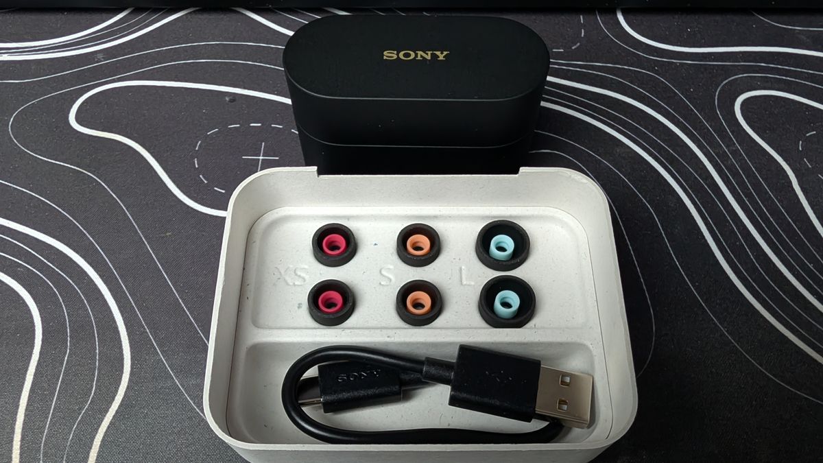 Sony WF-1000XM6