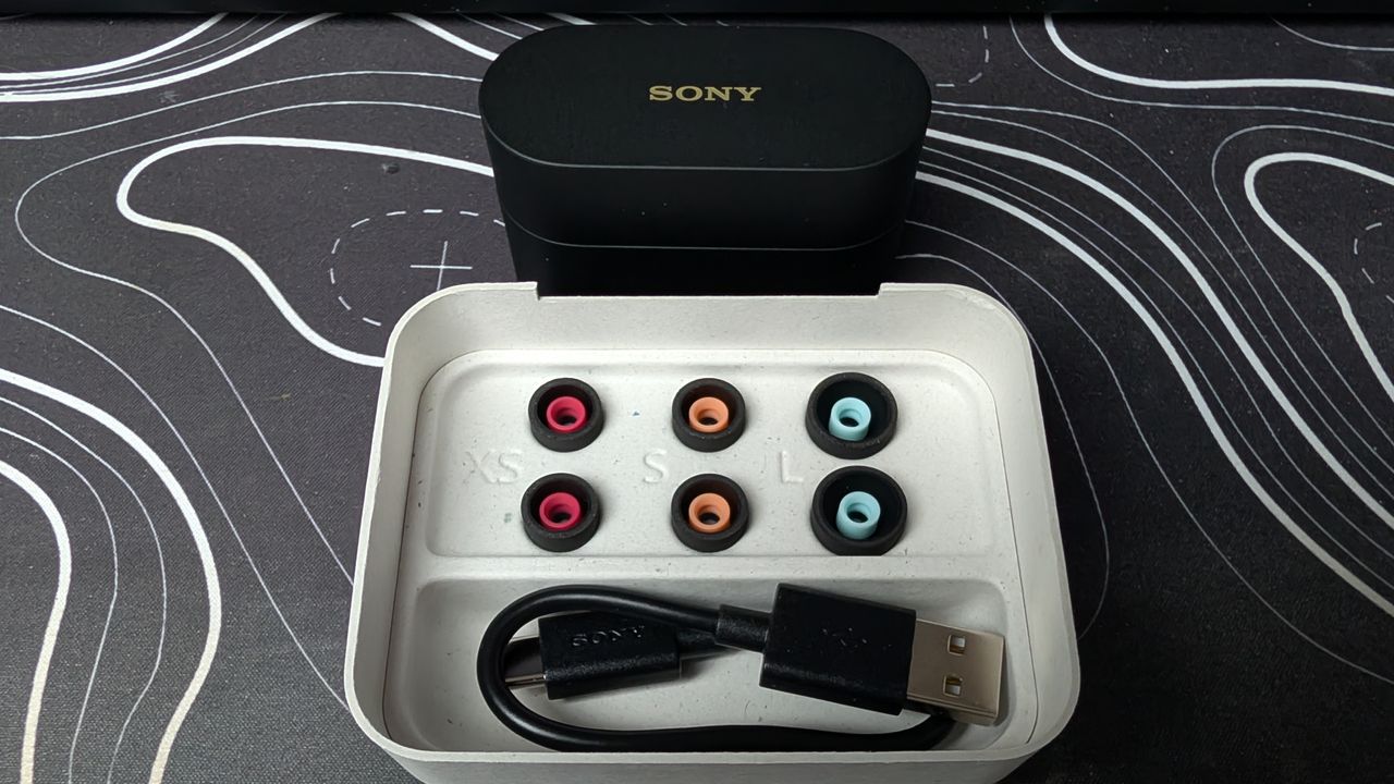 Sony WF-1000XM6