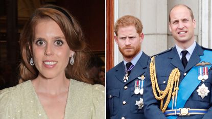 Princess Beatrice could play peacemaker to Prince William and Prince Harry.