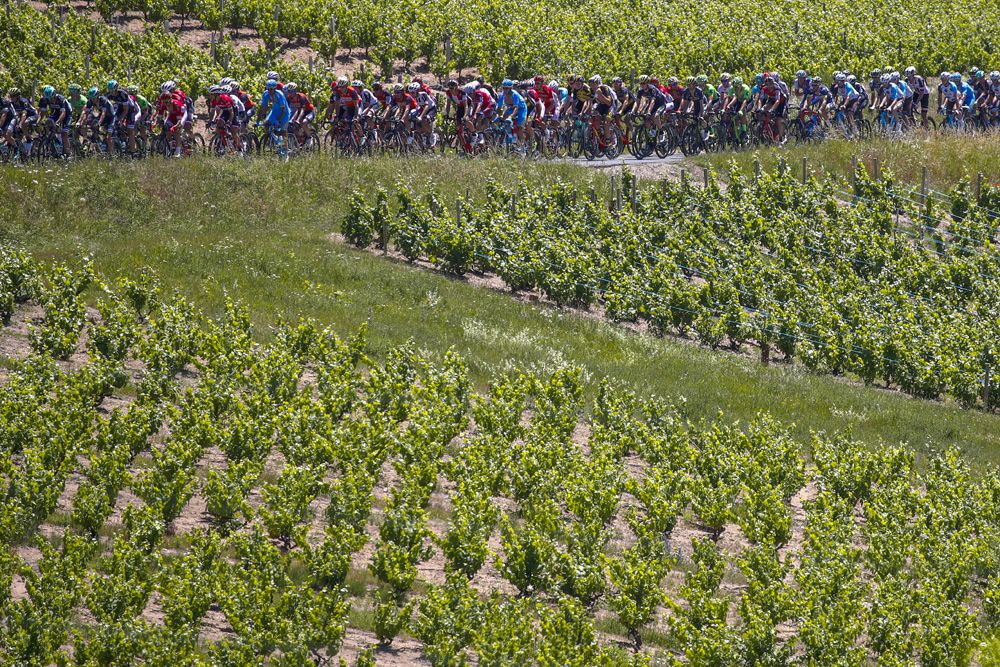 The climbs hurt but the sprinters still prevailed