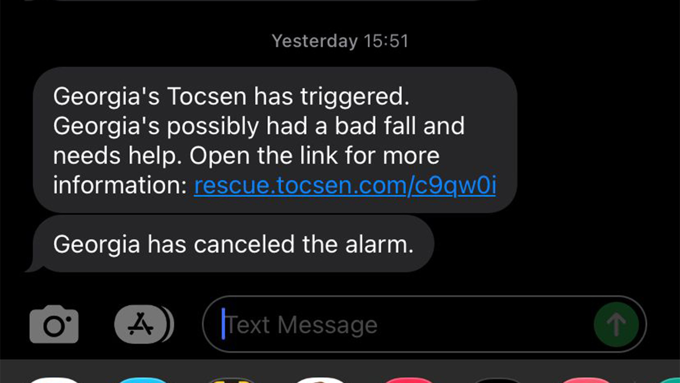 Screenshot of alert message