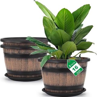 Amazon barrel planters