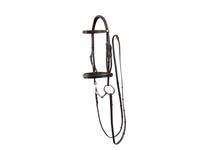 KBbridle.jpg