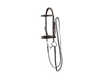KBbridle.jpg