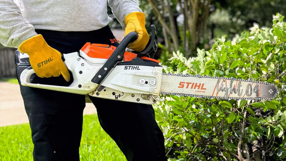 Man holding a STIHL MSA 300 C chainsaw in front of a felled tree