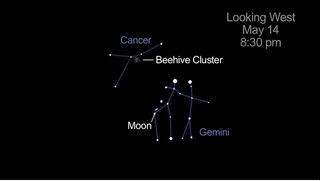 Moon Beehive Gemini May 14 2013