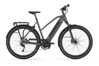 Gazelle Ultimate T10+ Mid-Step: $4,499.99 $3,249.95 at Mike's Bikes28% off -