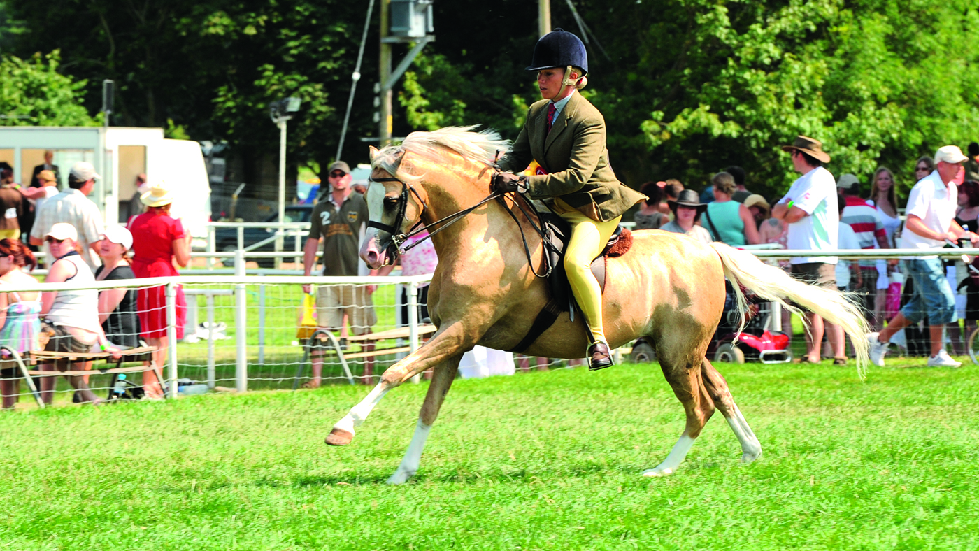 Newton Hill Prince Bertie and Katy Marriott Payne