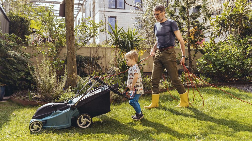 How much does a lawn mower cost? Top Ten Reviews