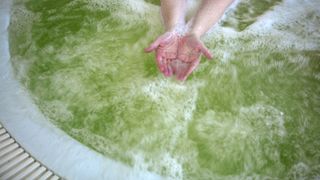 Green water in hot tub