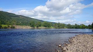 fishing on the tay