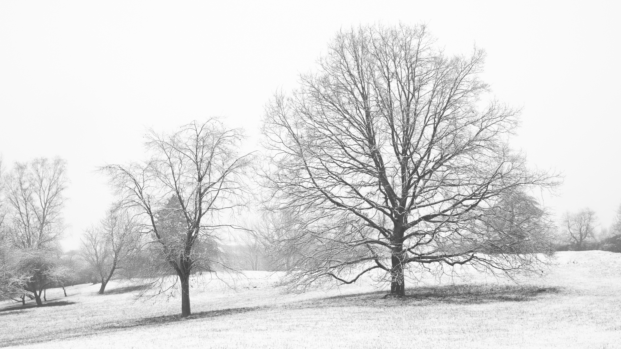 GuruShots - February 2026