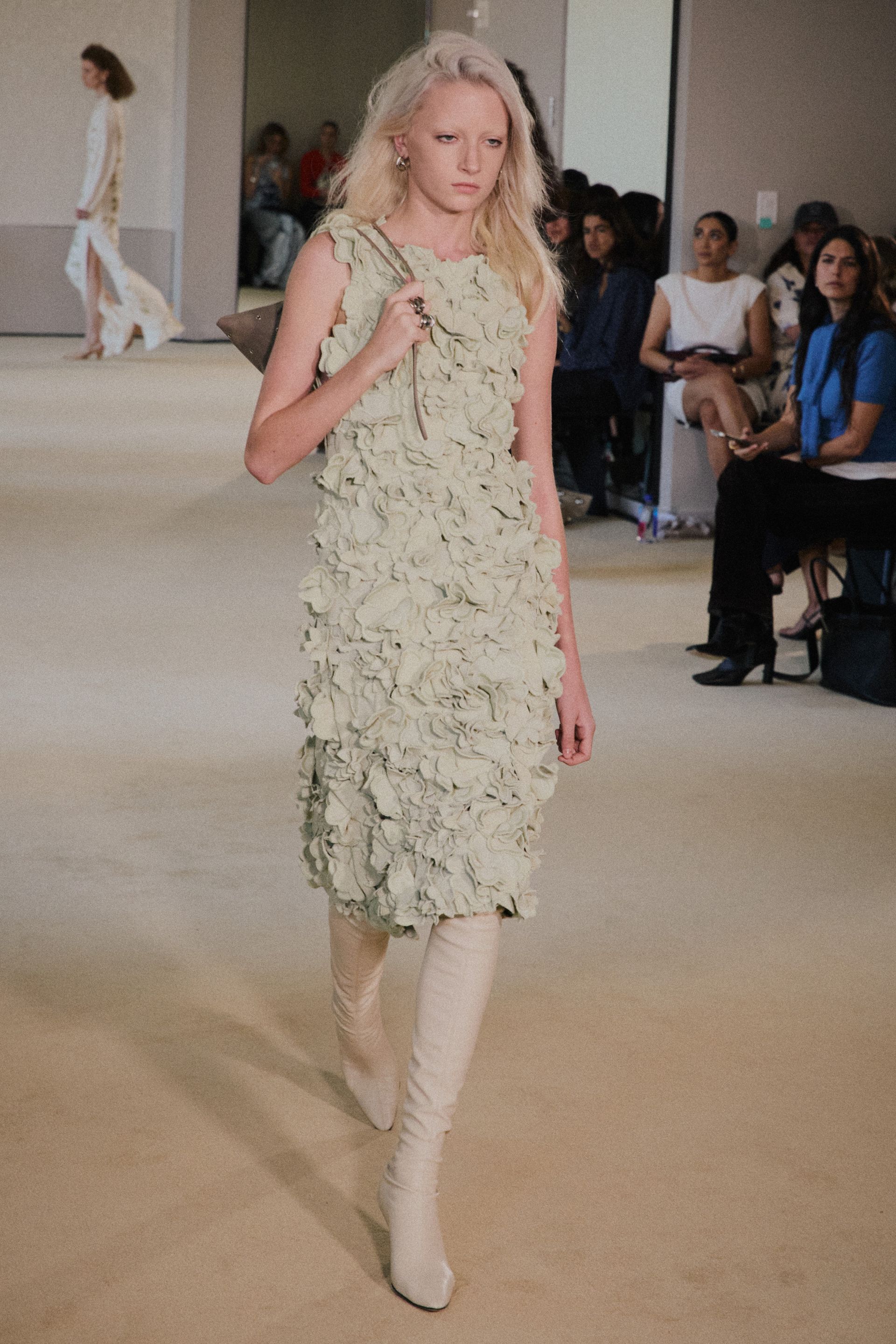 An Altuzarra model