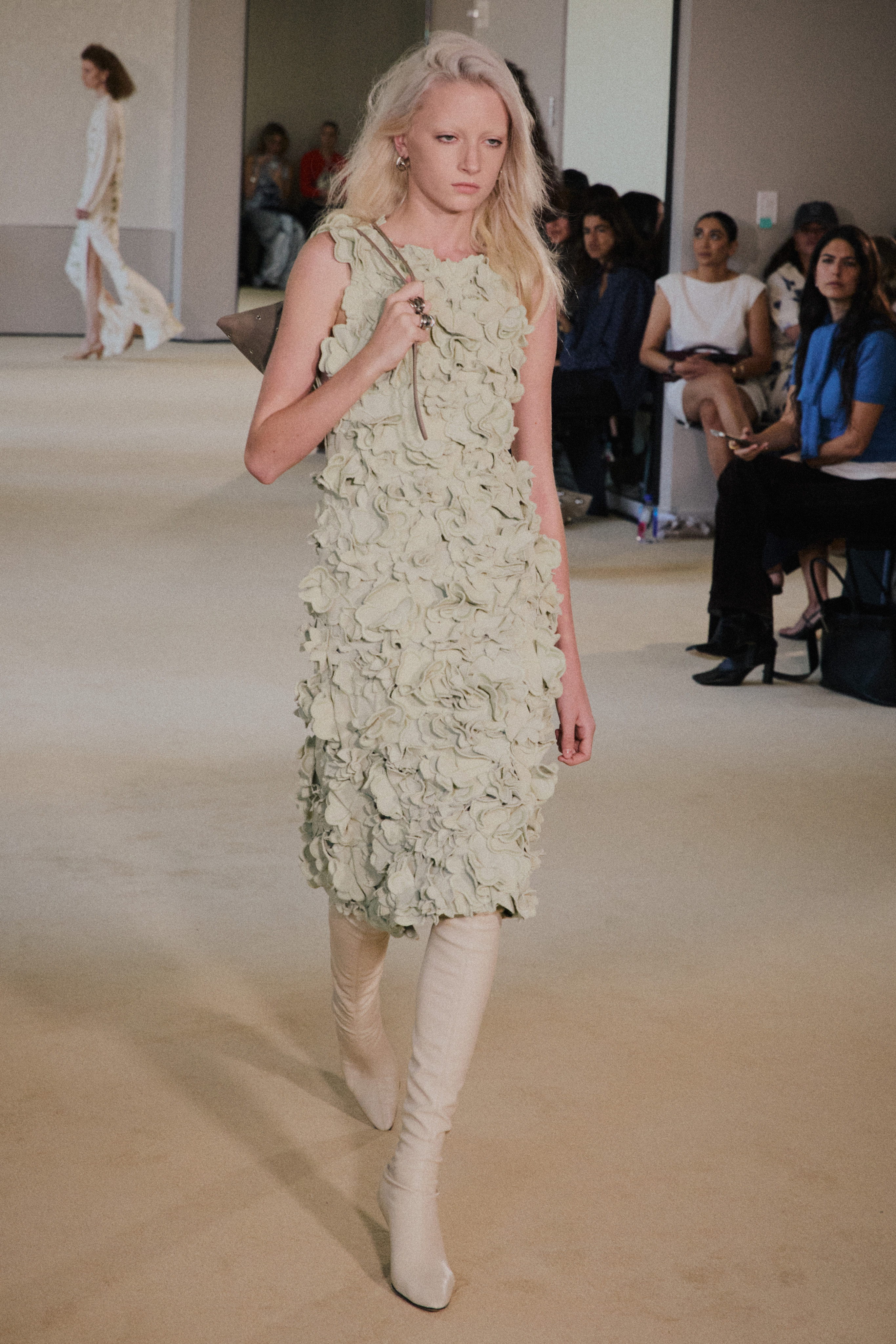 An Altuzarra model