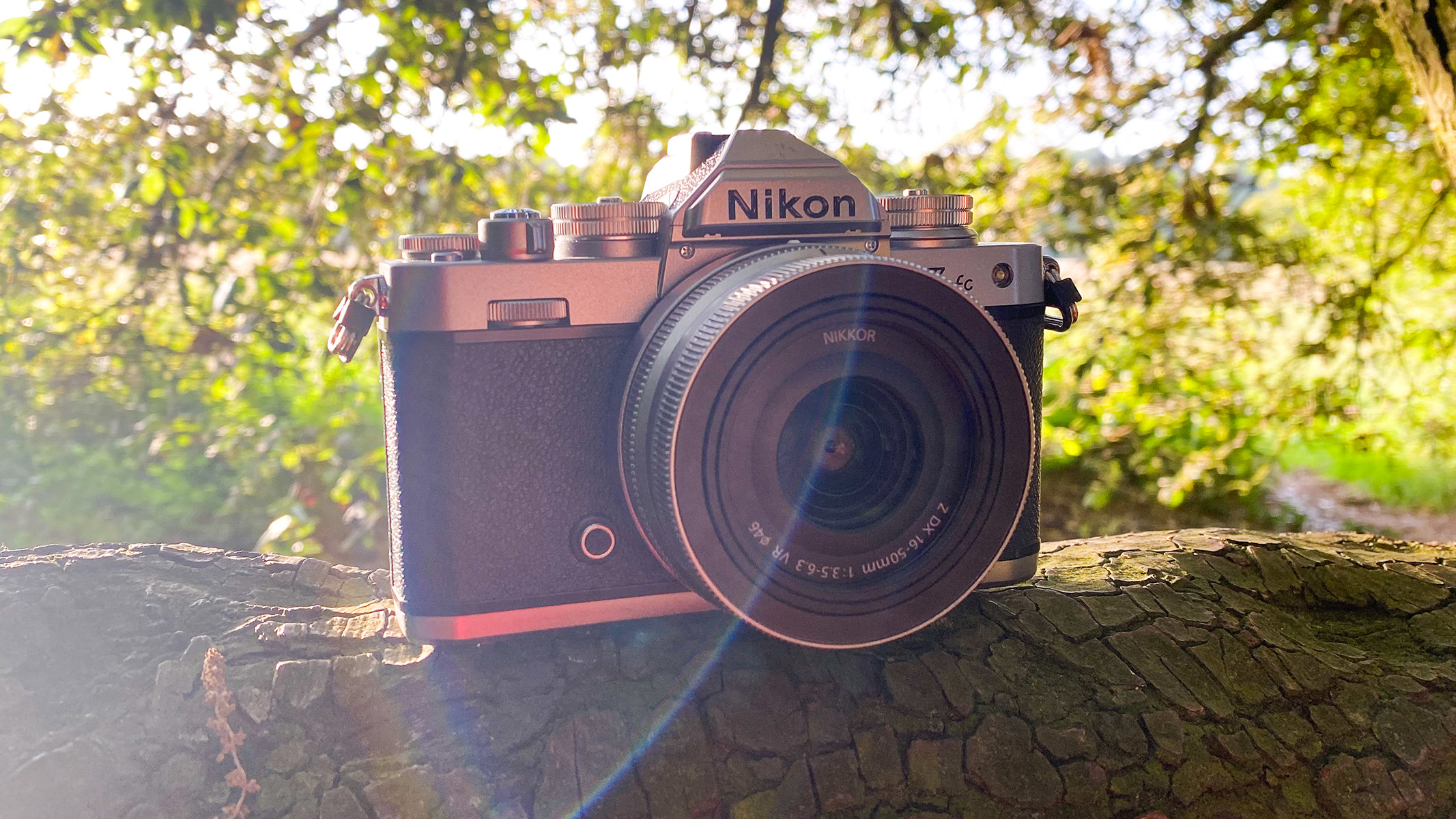 The Nikon Z fc placed ontop of a fallen tree with light hitting the foliage behind, flaring into the image from the left