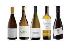 Galicia wines