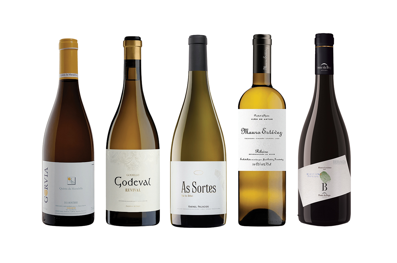 Galicia wines