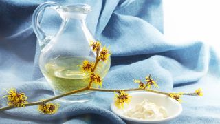 Witch hazel in a bottle with flower