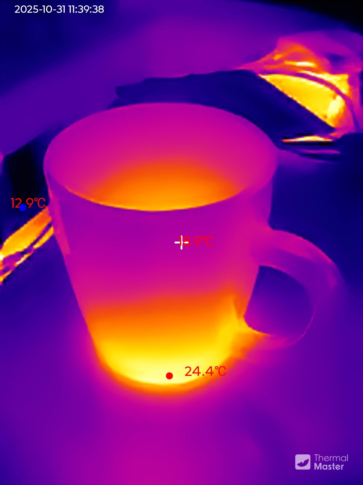 Thermal Master P1 Example images
