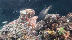 Post image 7