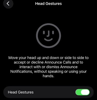 AirPods Head Gestures, Settings page