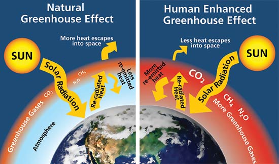 Left: Naturally occurring greenhouse gases — carbon dioxide (CO2), methane (CH4), and nitrous oxide (N2O) — normally trap some of the sun’s heat, keeping the planet from freezing. Right: Human activities, such as the burning of fossil fuels, are increasing greenhouse gas levels, leading to an enhanced greenhouse effect. The result is global warming and unprecedented rates of climate change.